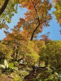 在石門國家森林公園拍到了我的人生照片