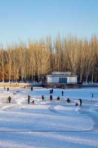 冬季的勞動公園，可賞雪，可滑冰