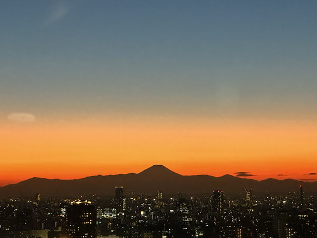 東京-富士市-京都之行