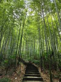 這幾個熱門景點都在鎮江南山別逛錯了