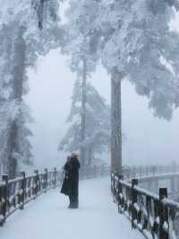 成都周邊冬日氛圍雪景大片！這裡下大雪啦～