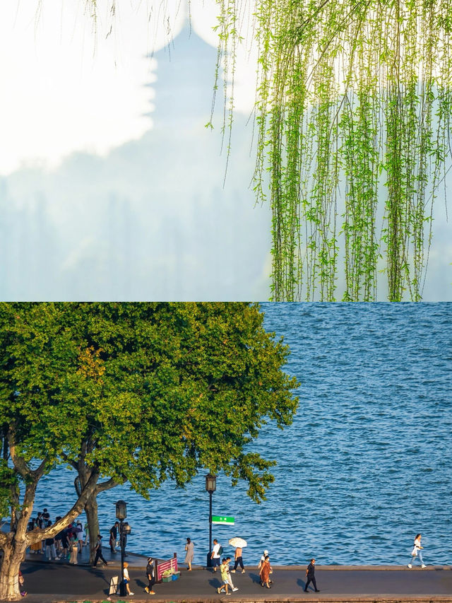 這是我對杭州西湖的熱愛