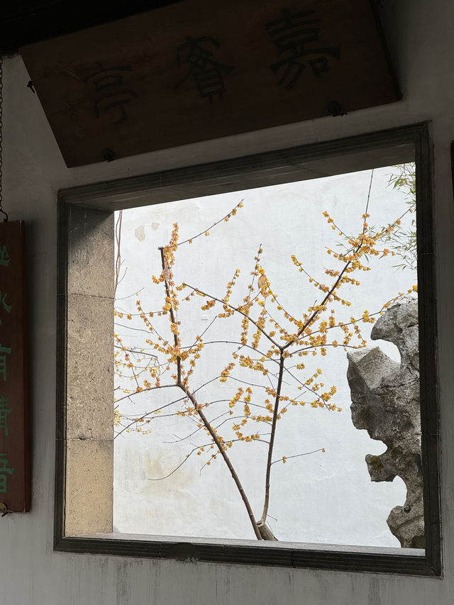 蘇州｜希望可以每天坐在河邊曬太陽