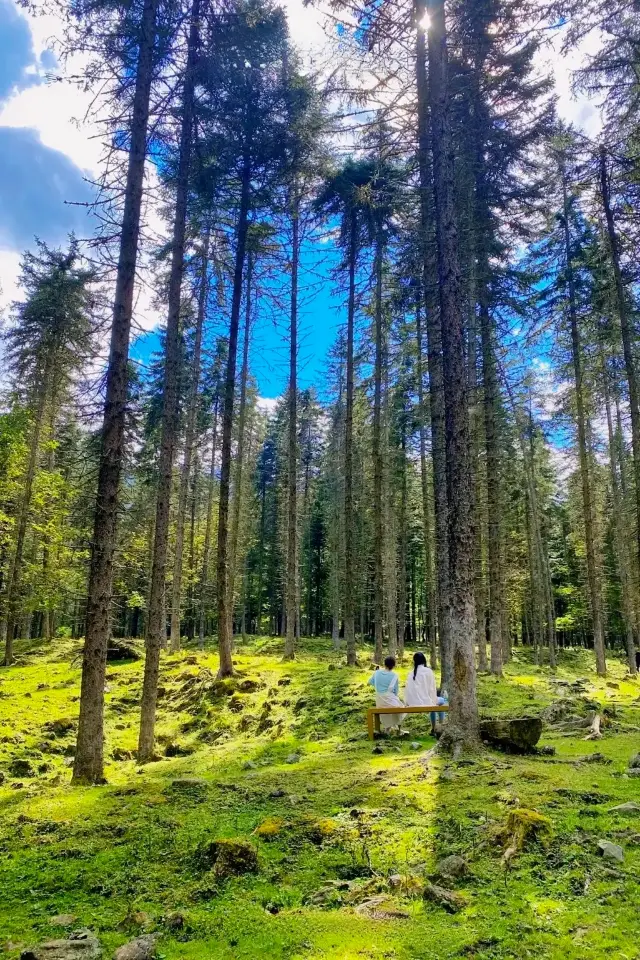 四川秘境之旅～貳