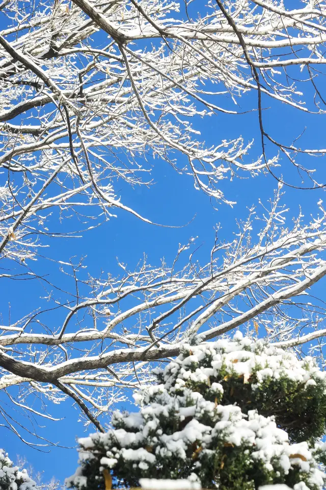 ソウル旅行｜雪に覆われた梨花女子大学