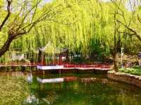 藏在上海浦東的古典園林，環境不錯還免費逛
