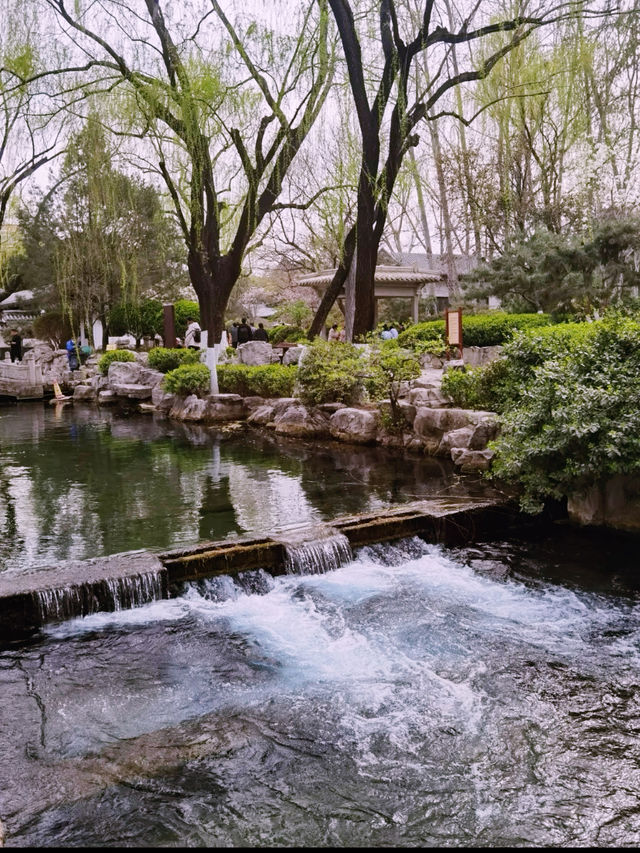 春日玩點花的｜桃紅柳綠才是春