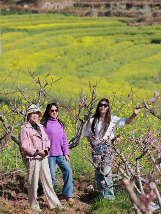 Dali Wuben Flower Appreciation Journey | Coming for the Peach Blossoms, but Falling More in Love with the Rapeseed Flowers! (Including Guide)