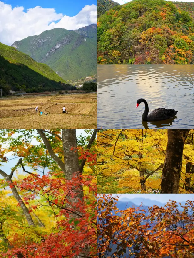 Encounter the treasure of autumn travel