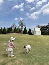 親子打卡｜大理蒼海雲上草原 拍照遛娃寶地