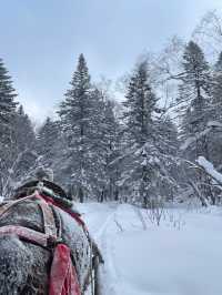 老里克湖，誤入冰雪童話世界