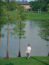 已經開始期待深圳秋天香蜜公園有點舒服