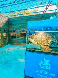 來觀瀾湖海洋館探索奇妙之旅