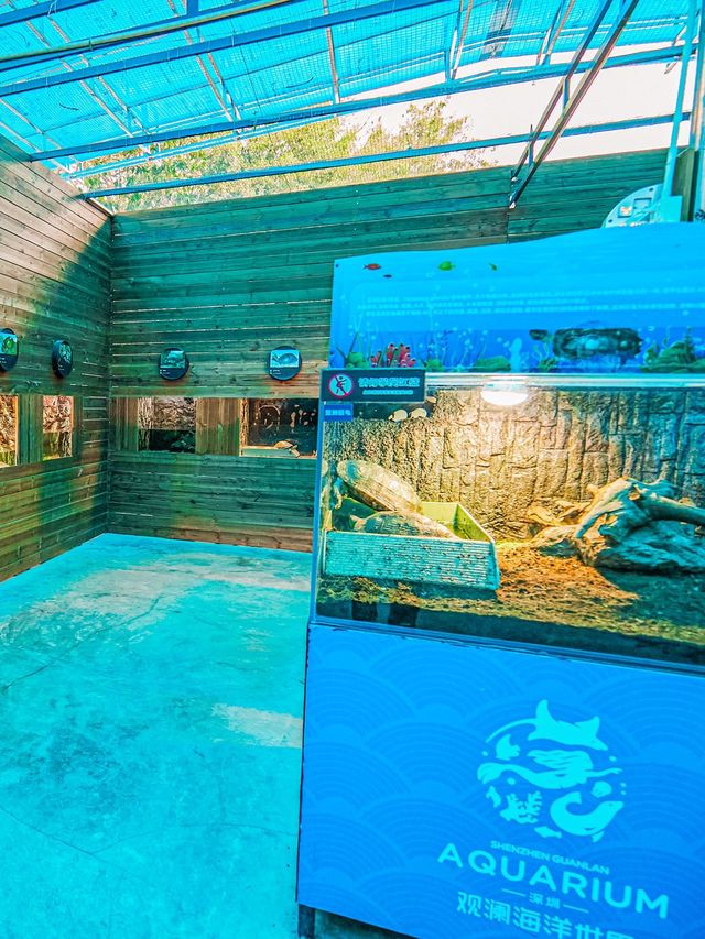 來觀瀾湖海洋館探索奇妙之旅
