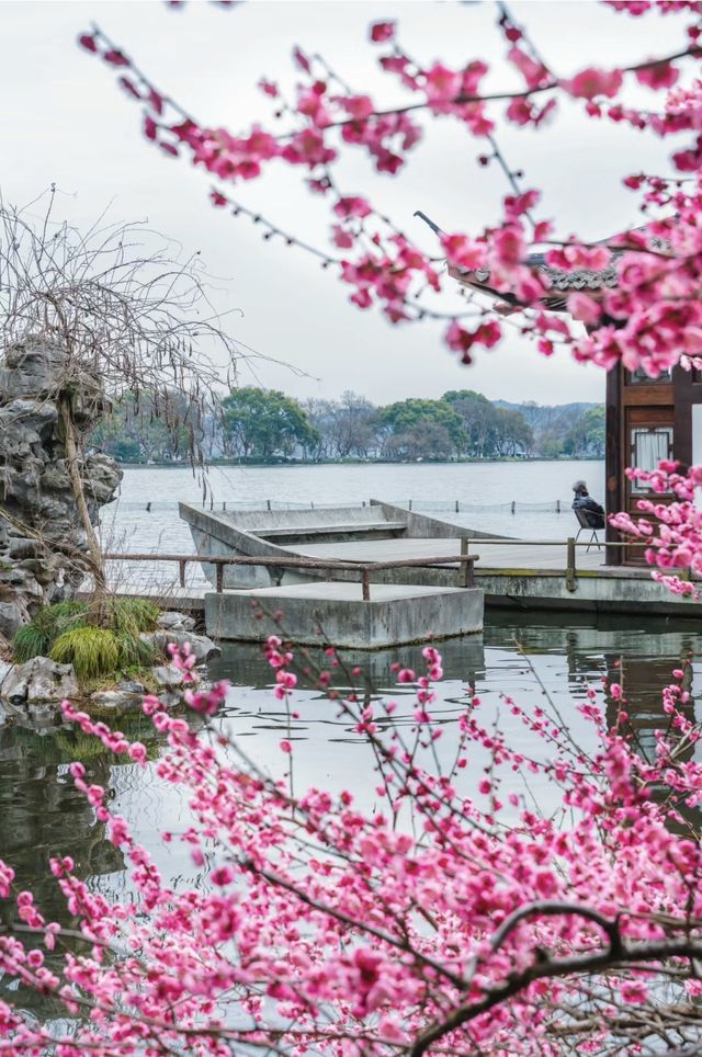 江南無所有，聊贈一枝春