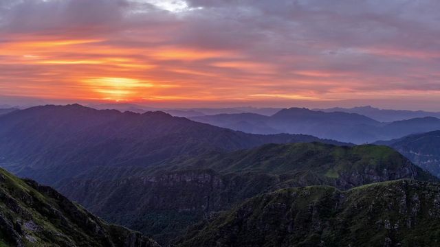 梧桐山