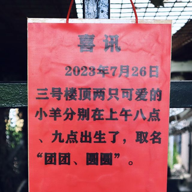 深圳——小宮廷風打卡地