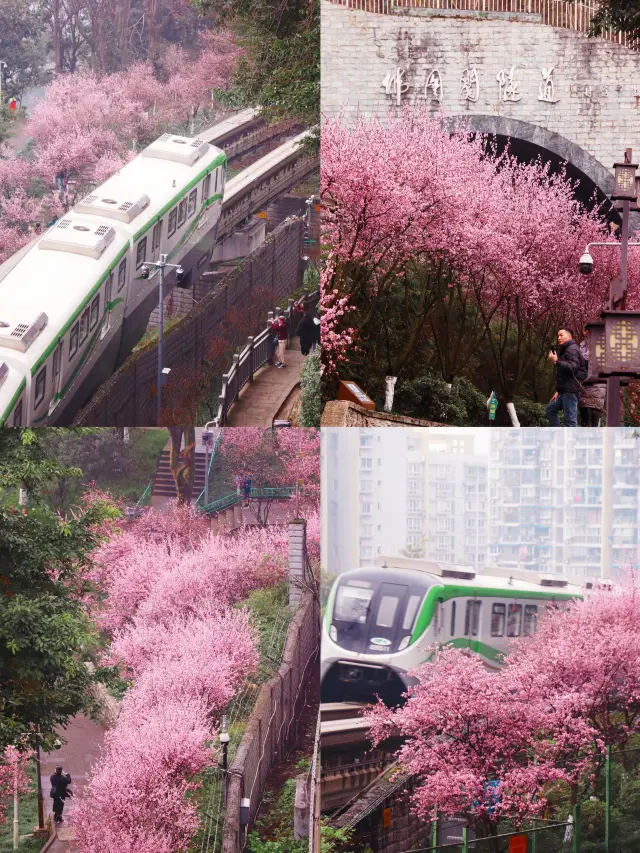 開往春天的地鐵太美了吧