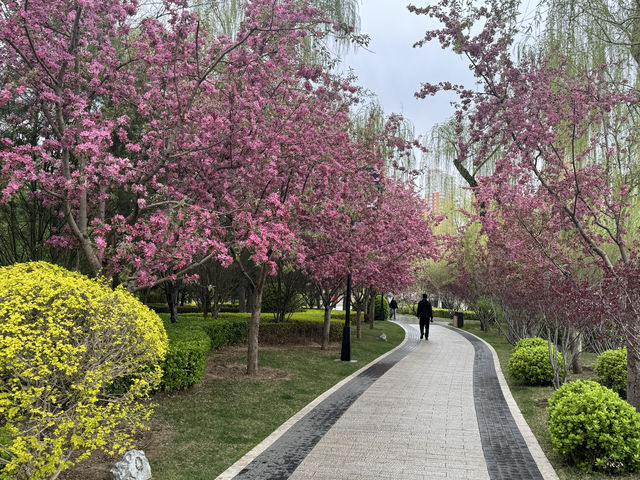 春雨後的迎澤公園