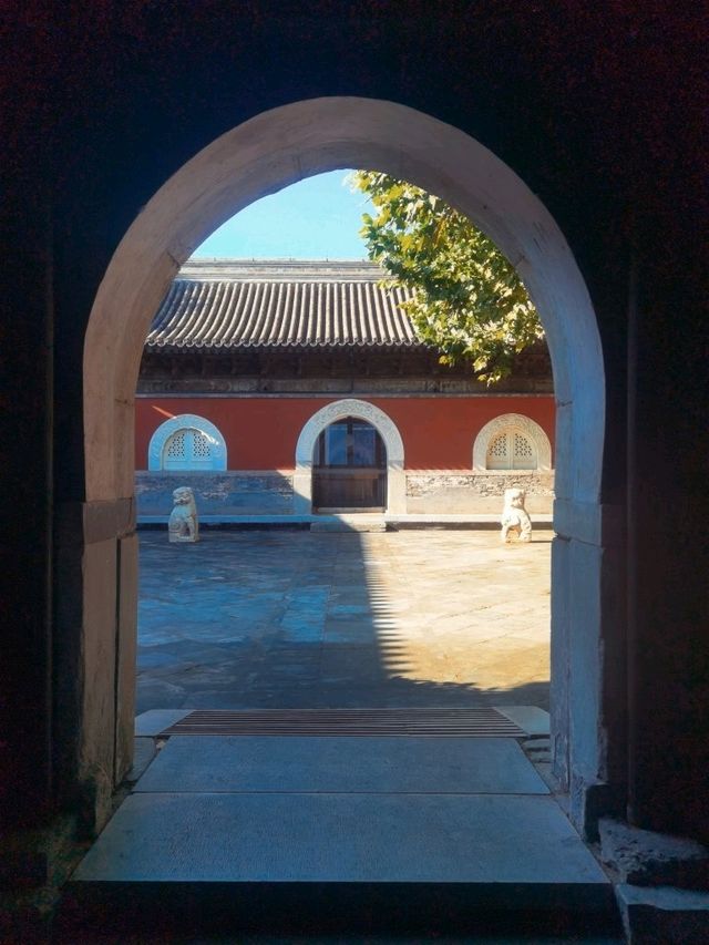 In the "unfamous" Imperial City Root Temple, savoring tea, viewing exhibitions, and practicing yoga.