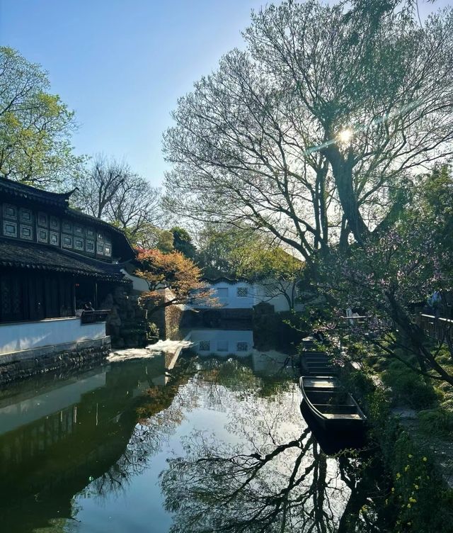 漫步拙政園：一幅流動的山水畫