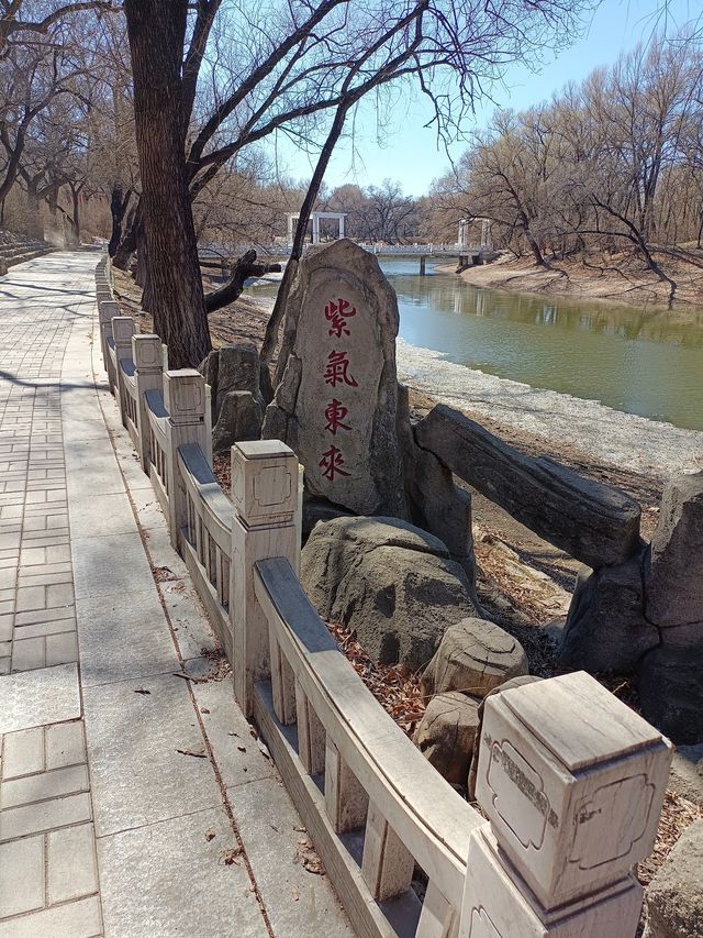 正在消失的齊齊哈爾  公園