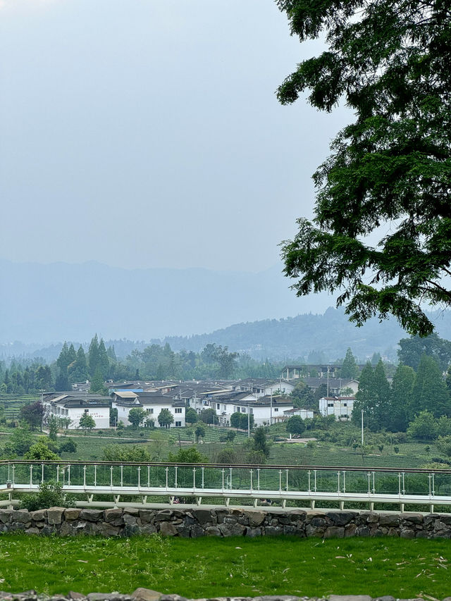 成都周邊！！找到了隱於山野茶園的夢中情院！！