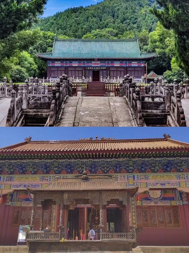 滿山的映山紅，我見到了苗寨另一種精彩～