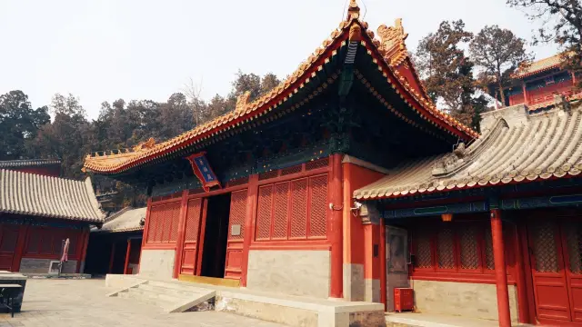 拒絕人擠人！北京五一小眾好去處（合集）