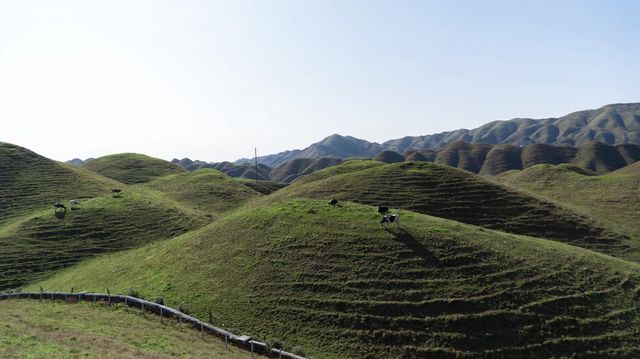 南山牧場