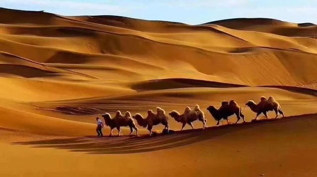 逐夢喀爾蘇：沙漠綠洲的奇幻探索