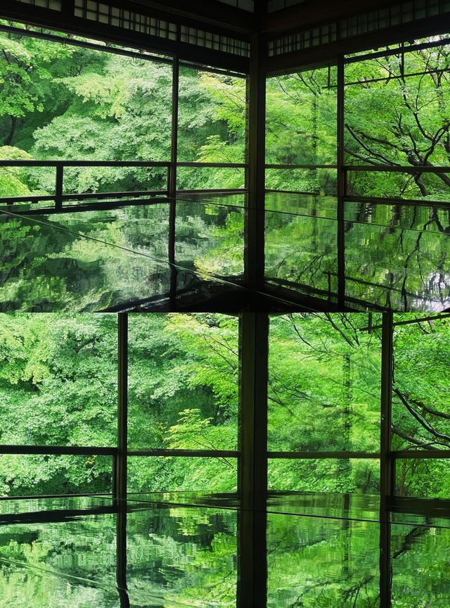 京都八瀨  春季限定的中瑠璃光院