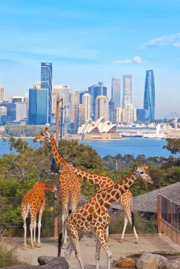 住進悉尼最美動物園~