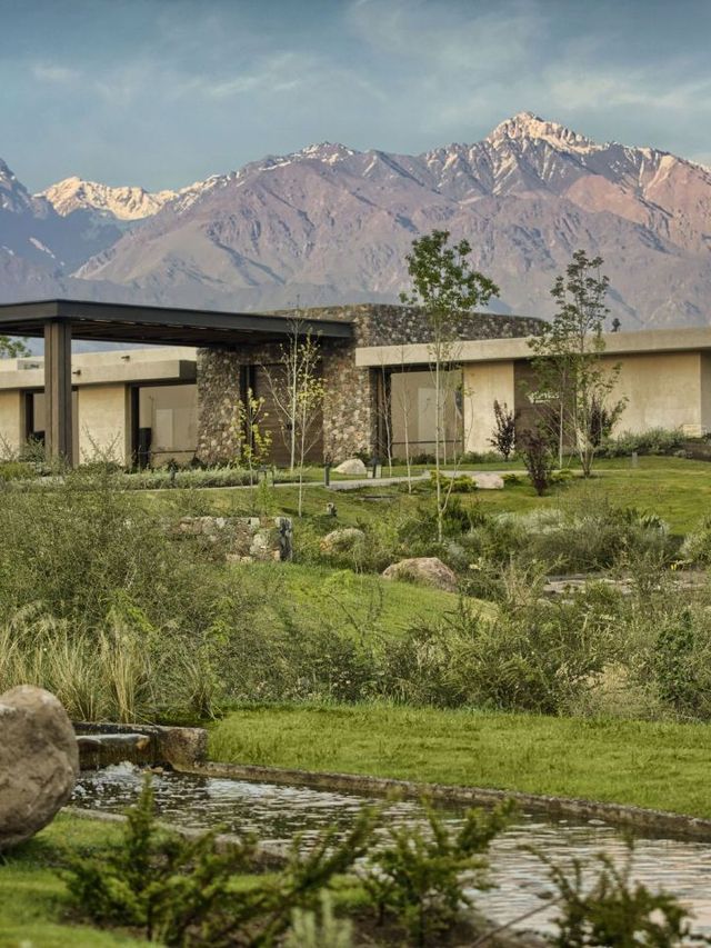 🍇🏨 Unwind in Luxury: Mendoza's Vines Resort & Spa 🍷
