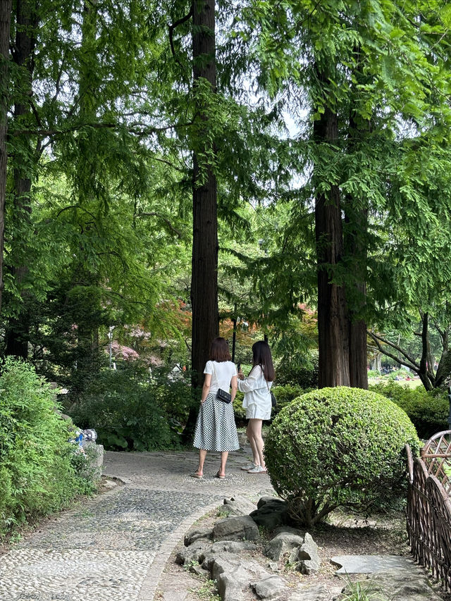 漫遊上海：中山公園，百年公園新變化