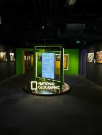 杭州看展→自在出色的女性力量