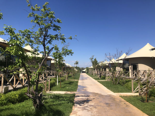 自駕來布爾津選這家營地就對了