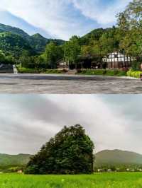 記住鄉愁的空山天盆