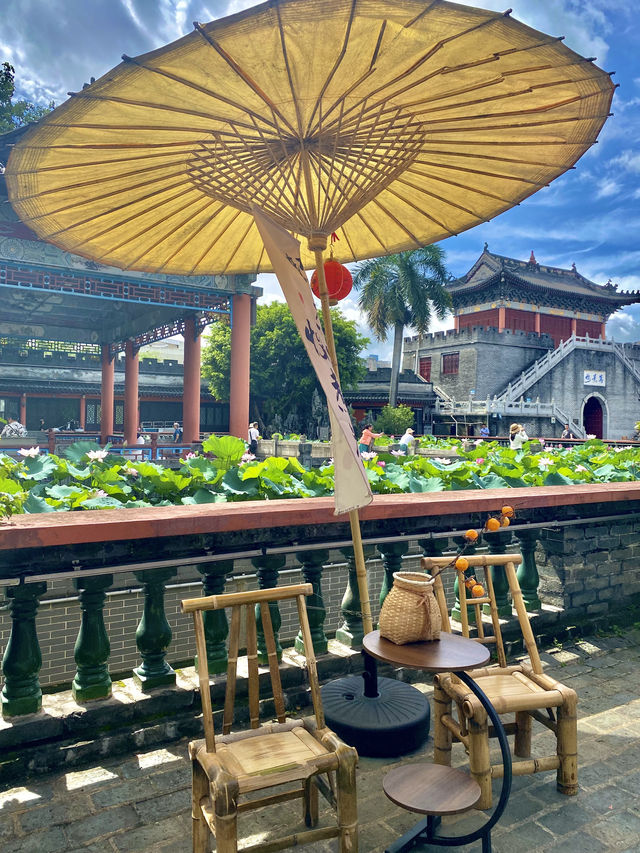 誤入藕花深處，深圳小蘇杭，古城荷花