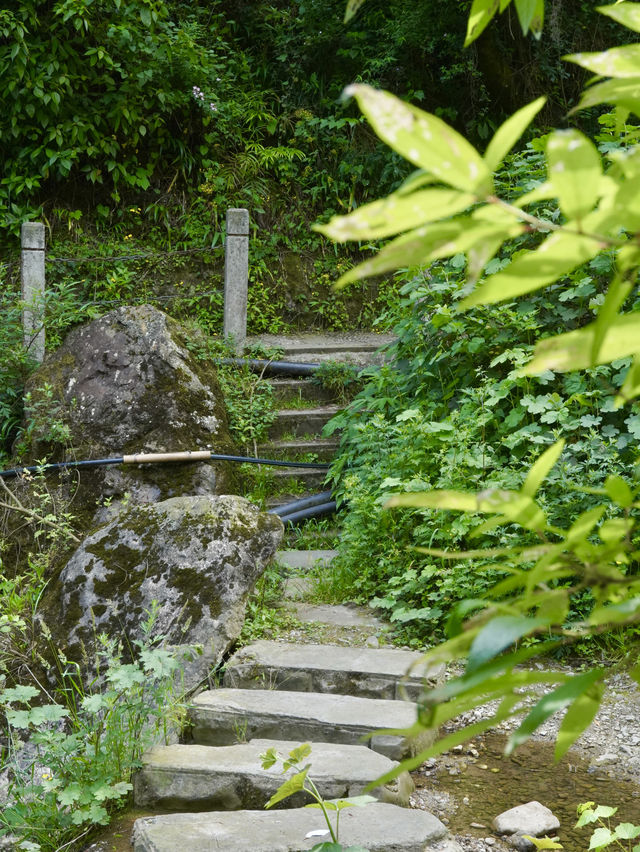 暑期近郊親子徒步寶藏地 | 跑馬嶺避暑納涼，好愜意