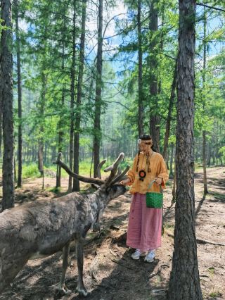 夏日避暑| 呼倫貝爾②根河敖魯古雅使鹿部落馴鹿