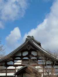 京都｜高台寺•山丘上的華美庭園