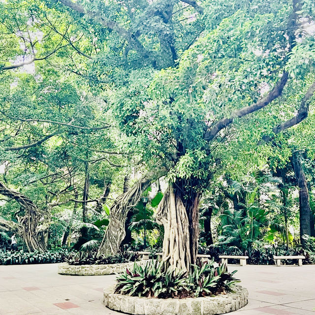 廣州烈士陵園：英雄花開英雄城😄