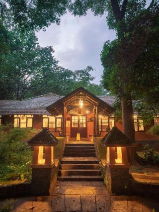 🌴✨ Wayanad Wonders: Top Hotel Picks! 🏨🍃