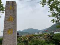 浙江小濟州島，寧波周邊自駕可達海島
