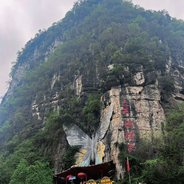 🦋 Butterfly Entrance ⛰️ 