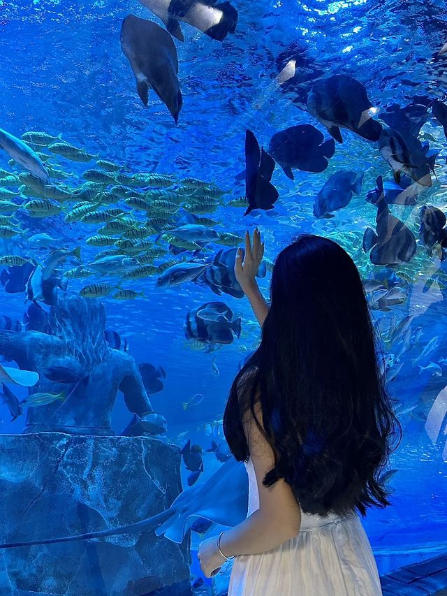 真的是東莞！！夢核海底隧道🫧