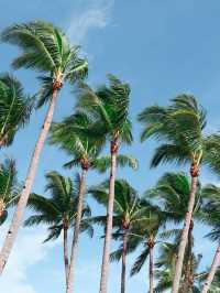🌴 Boracay Bliss: Henann Palm Beach Resort 🏖️