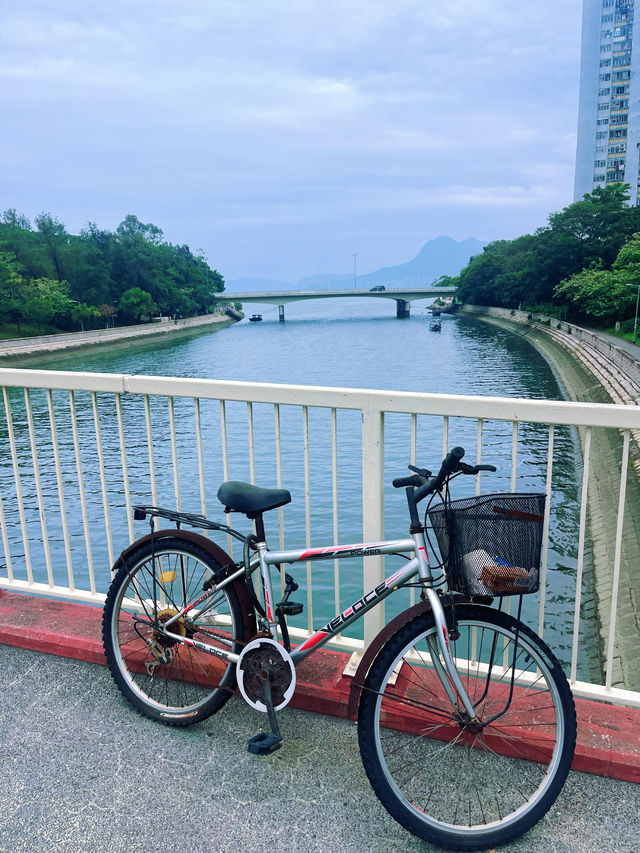 大埔半日遊路線人煙稀少舒服寧靜衝