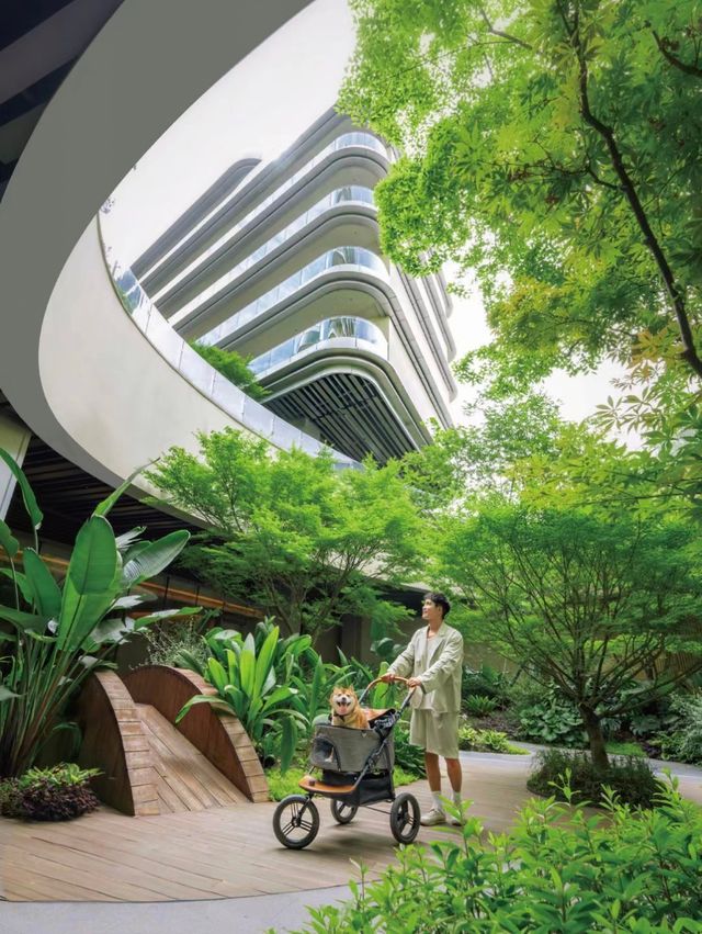 以後到成都，就住這家酒店，舒適與驚喜之旅